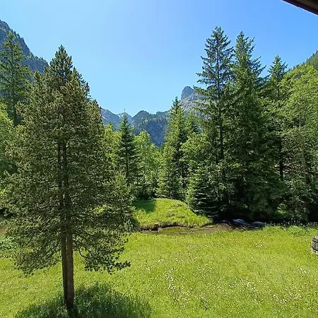 Apartment Filfalle Kandersteg